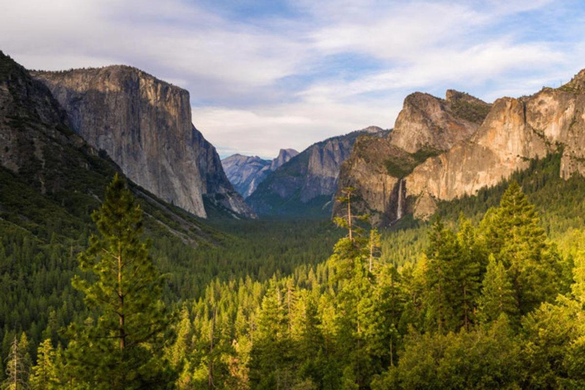 Cozy Bear South-Inside Yosemite National Park Vila Yosemite West Exterior foto